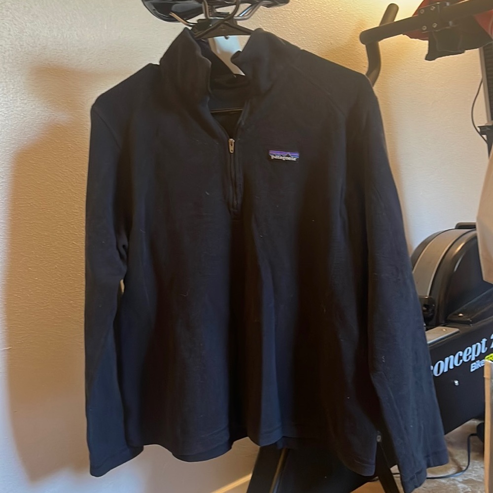 Patagonia micro fleece pullover